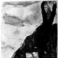 活泼喜鹊YNC头像