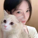 菏泽荣信汽车头像