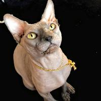 ʜᴀᴠᴇᴀᴅʀᴇᴀᴍ头像