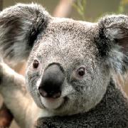 mingkg21的个人资料头像