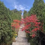 幸运7C0X头像
