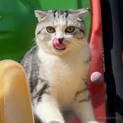 从热河到定西的个人资料头像