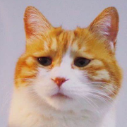 我是谁呢呢呢的个人资料头像