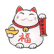 呃呃170的个人资料头像