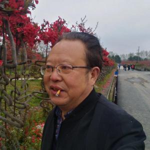 用户森林音乐茶楼头像