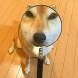 心如止水名如月38头像