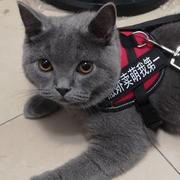 为什么写代码的个人资料头像