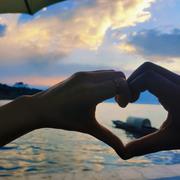 明天会更好wh的个人资料头像