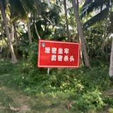 wanjia100头像