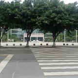 Drtang俊头像