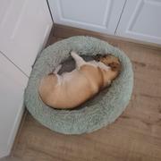 leon0516的个人资料头像