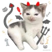 努力搞技术的个人资料头像