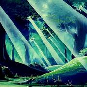 wq907的个人资料头像