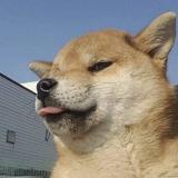 陌南塵丶头像