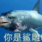 东巴373头像