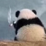 坚强是何死撑头像