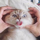 用户5270502060590头像