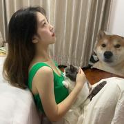 Lits的个人资料头像