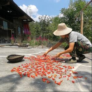 湘村小生活头像