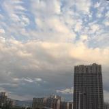 缘皓557头像