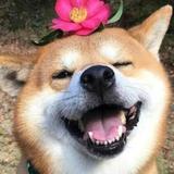用户2990870433915头像