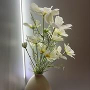 君临天下813的个人资料头像