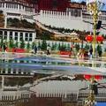 爱的旅程35770420头像