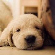 土爷的个人资料头像