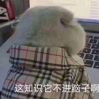 NOT found头像