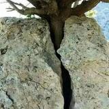 福润延年头像
