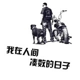 局外人qzj头像