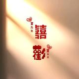 崔西221头像