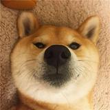 旺仔28276头像