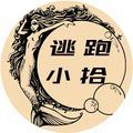 逃跑小拾头像