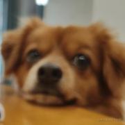 兄弟你好香啊的个人资料头像