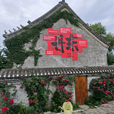 关东一棵莓头像