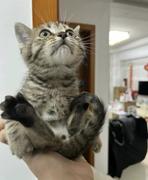 蘑菇头怎么你了的个人资料头像