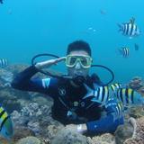 迷彩小叶子头像