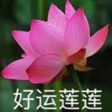 CK猴赛雷头像