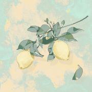 arcsin0621的个人资料头像