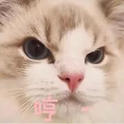 cm446的个人资料头像