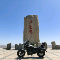 顽强钢琴jU头像