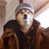 聆听雨兮兮头像