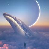 鲸鱼公子哥头像