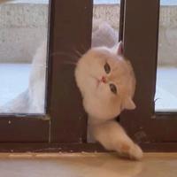 ☠☠Mr.an☠☠头像