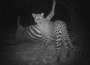 lukechen的个人资料头像