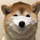 别闹2425头像