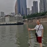 林子QL头像