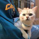 八九86936的个人资料头像