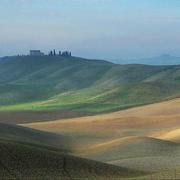 mexding的个人资料头像